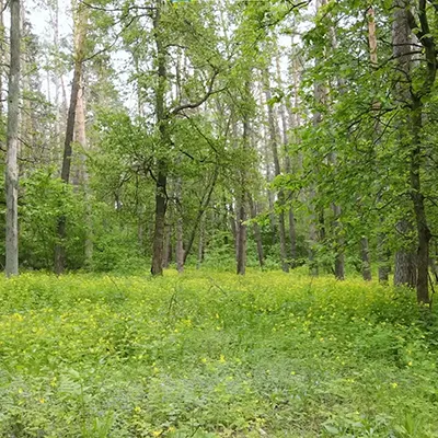 Сонячна електростанція